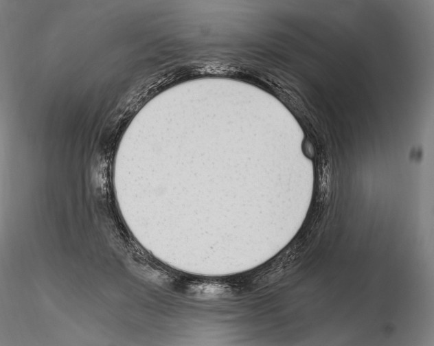 X0000115080503200912081214