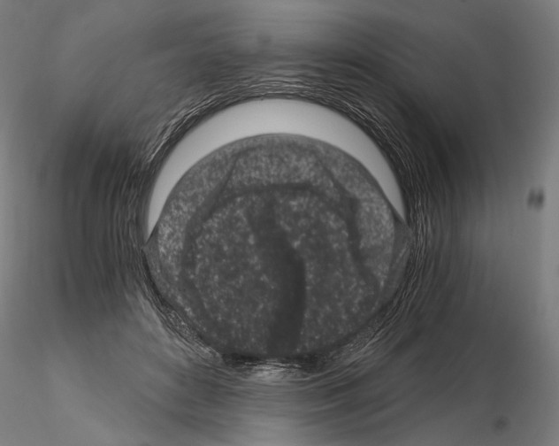 X0000115080504200912081214