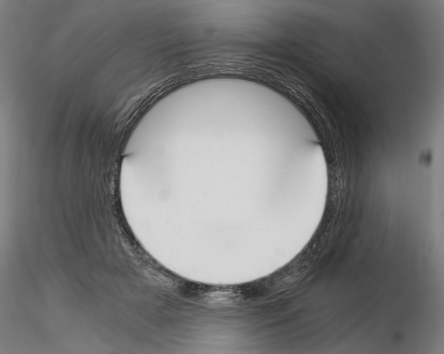 X0000115080505200912081214