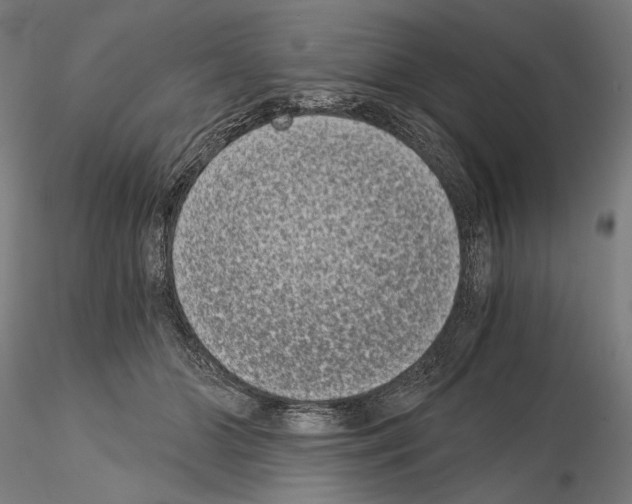 X0000115080510200912081214