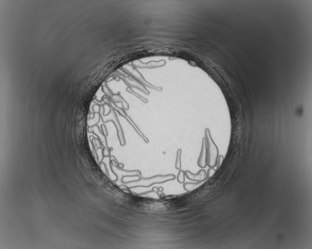 X0000115080513200912081214