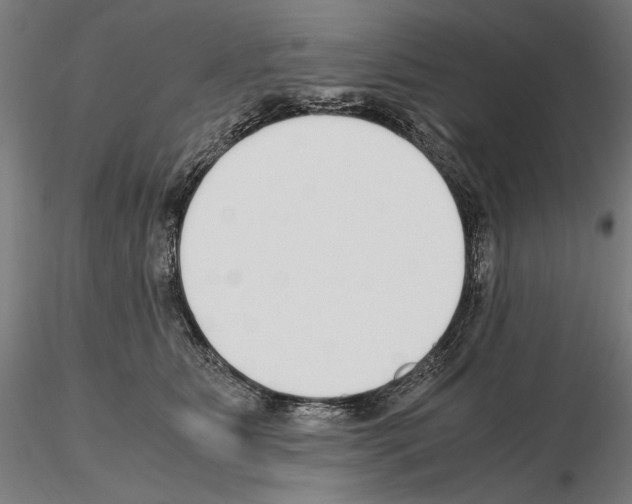 X0000115080515200912081214