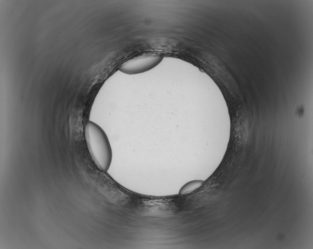 X0000115080516200912081214