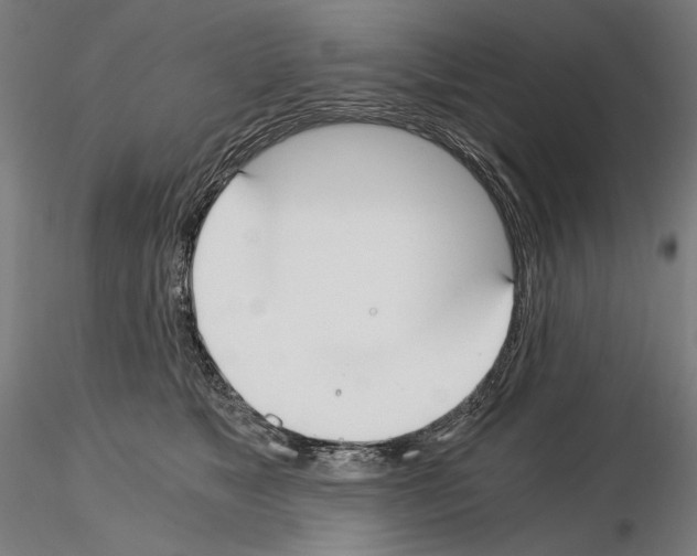 X0000115080517200912081214