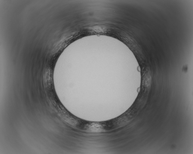 X0000115080518200912081214