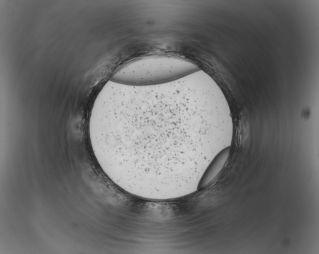 X0000115080520200912081214