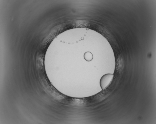 X0000115080522200912081214