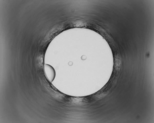 X0000115080523200912081214