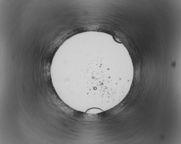 X0000115080525200912081214