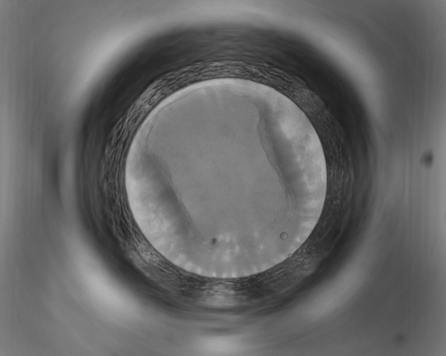 X0000115080526200912081214