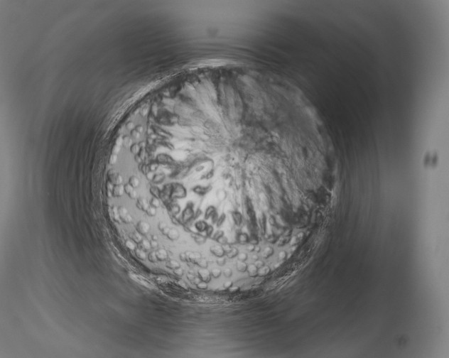 X0000115080529200912081213