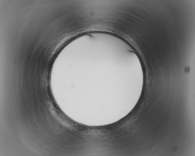 X0000115080530200912081213