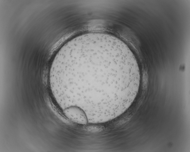 X0000115080533200912081213