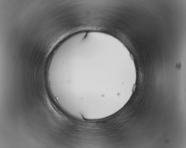 X0000115080534200912081213