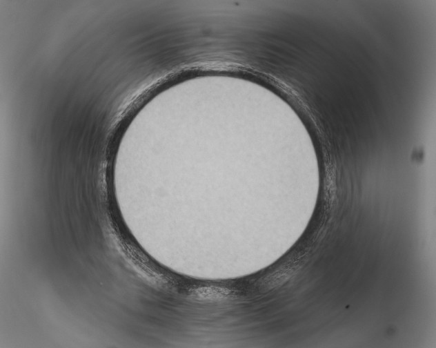 X0000115080535200912081213