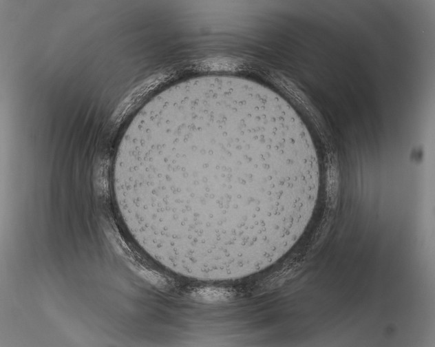 X0000115080537200912081213