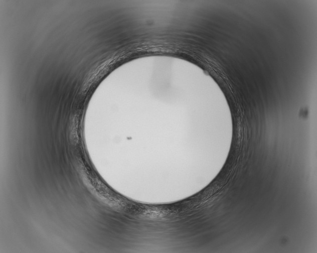 X0000115080538200912081213