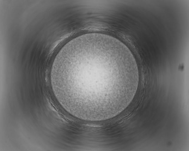 X0000115080539200912081213