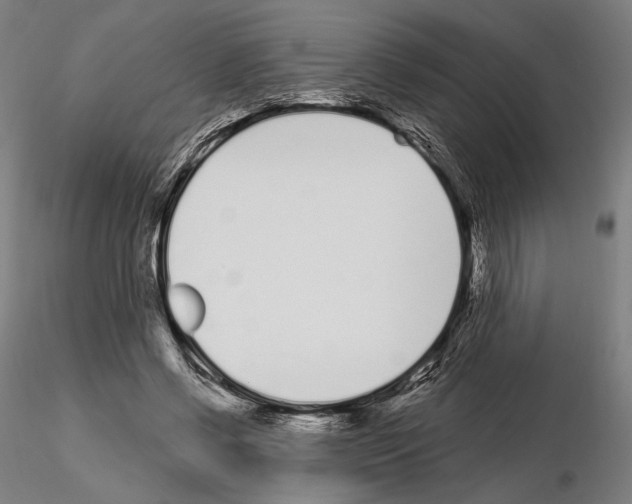 X0000115080542200912081213