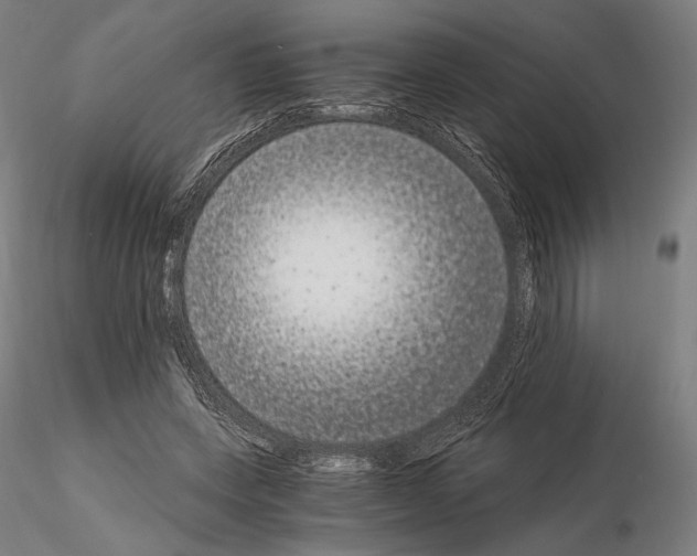 X0000115080543200912081213