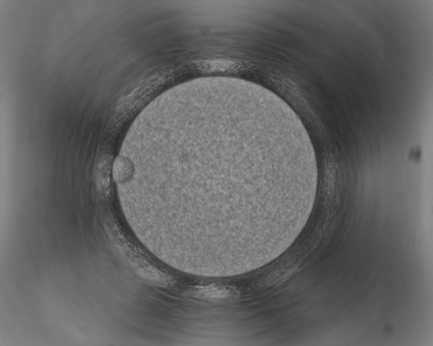 X0000115080545200912081213