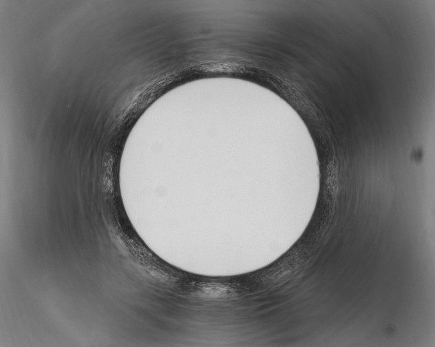 X0000115080547200912081214