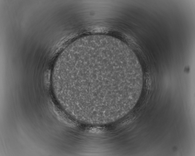 X0000115080550200912081214