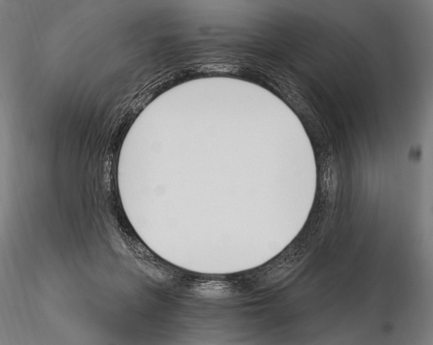 X0000115080551200912081214