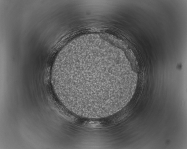 X0000115080554200912081214