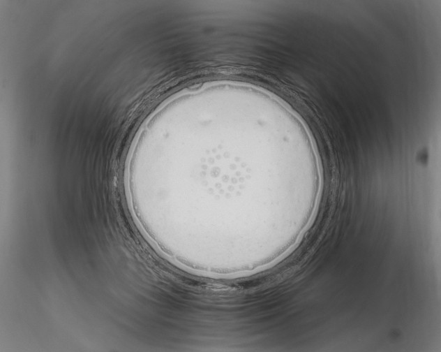 X0000115080555200912081214