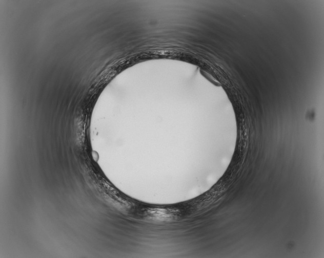 X0000115080558200912081214