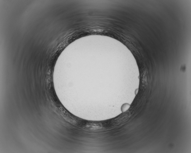 X0000115080559200912081214