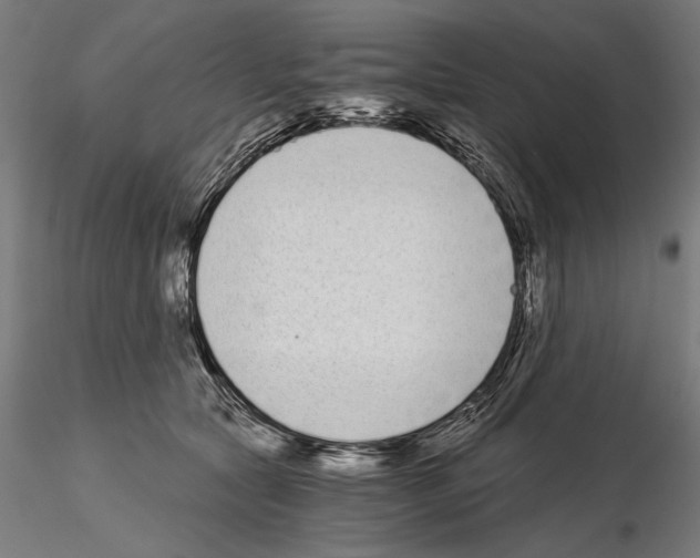 X0000115080561200912081214