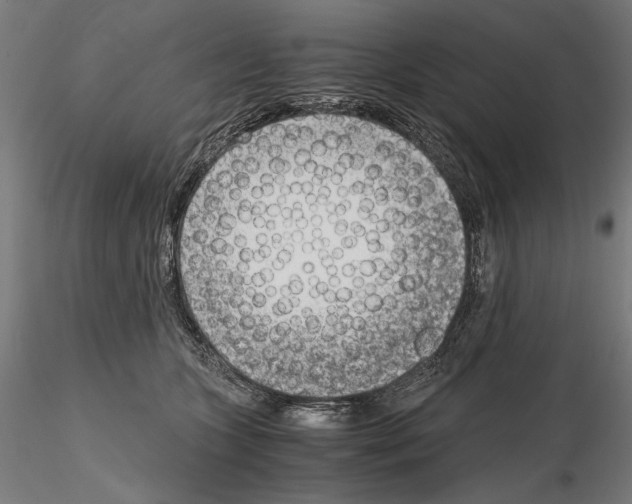 X0000115080563200912081214