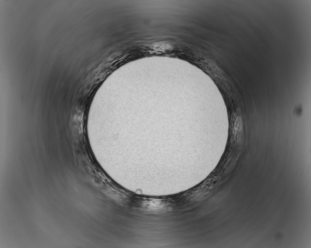 X0000115080565200912081214