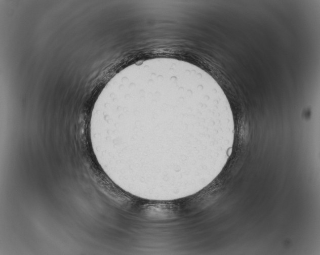 X0000115080567200912081214