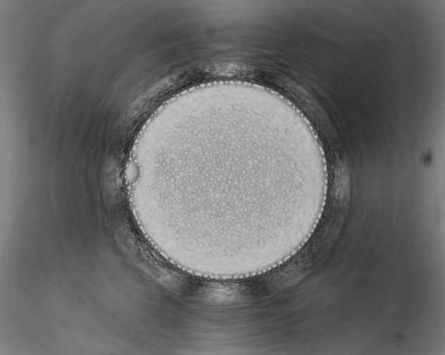 X0000115080569200912081214