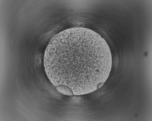 X0000115080570200912081214