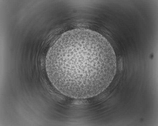 X0000115080571200912081214