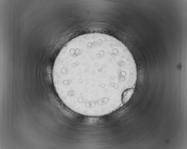 X0000115080575200912081214