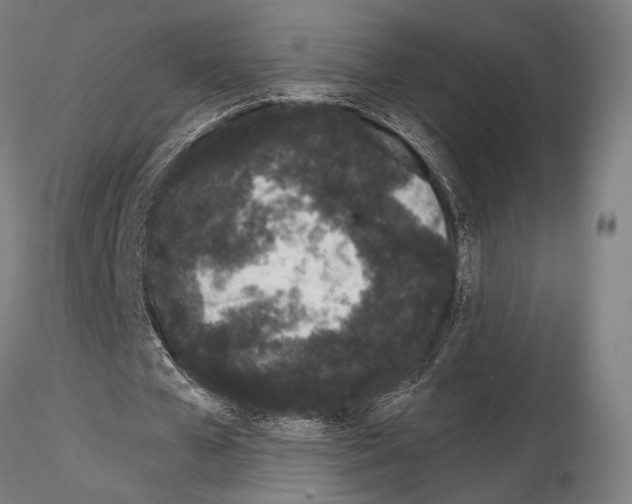 X0000115080577200912081213