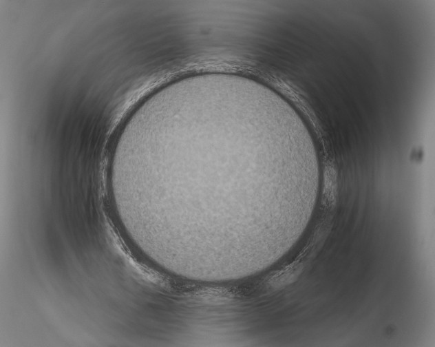 X0000115080578200912081213