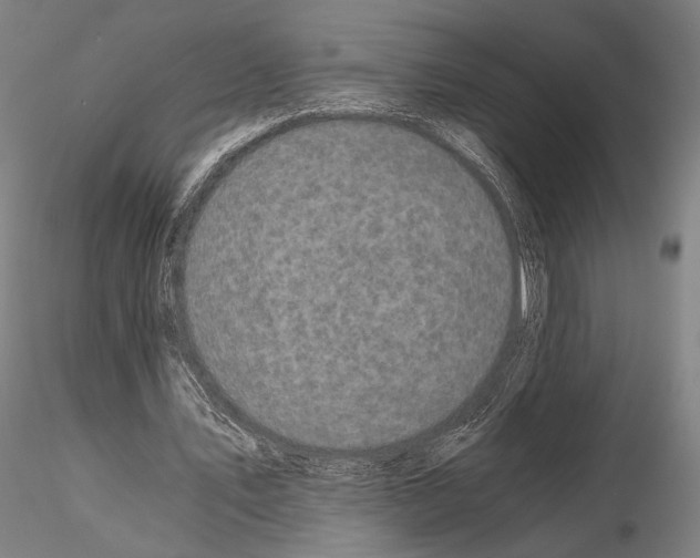 X0000115080579200912081213