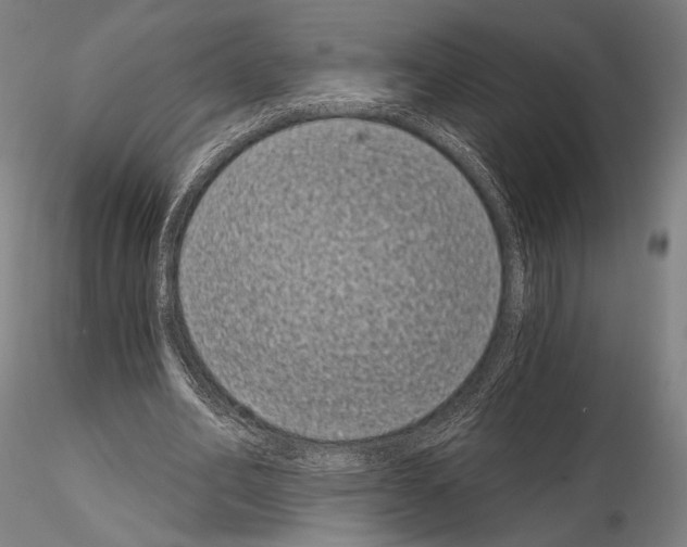 X0000115080582200912081213