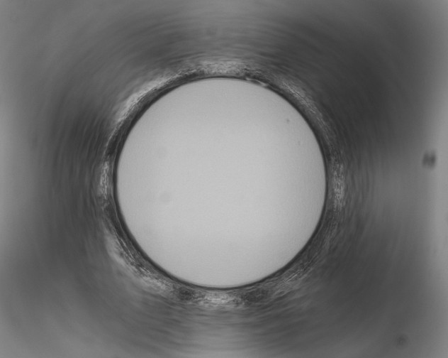 X0000115080583200912081213