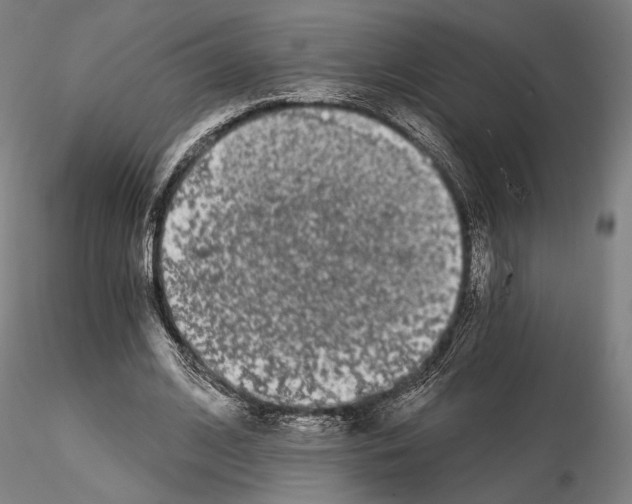 X0000115080584200912081213