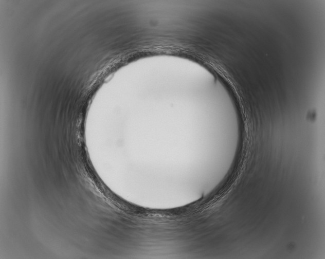 X0000115080585200912081213