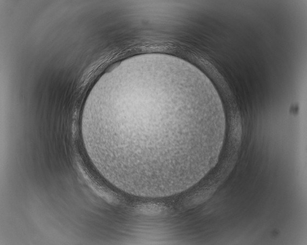 X0000115080586200912081213