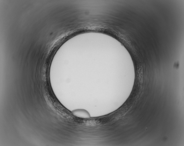 X0000115080587200912081213