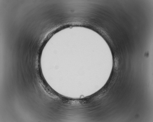 X0000115080588200912081213